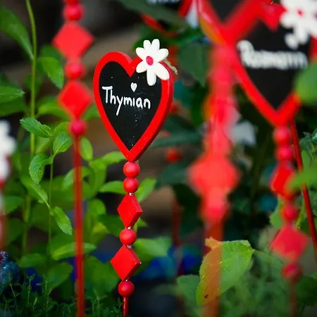 Hotel-pension Wagnermigl كوتشل