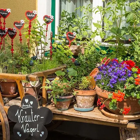 Hotel-pension Wagnermigl فندق 3*