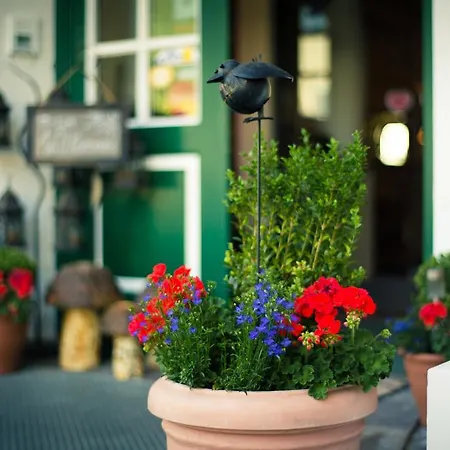 Hotel-pension Wagnermigl Отель 3*